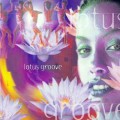 D  - Lotus Groove / Worldbeat, Chillout, Ethnic Fusion